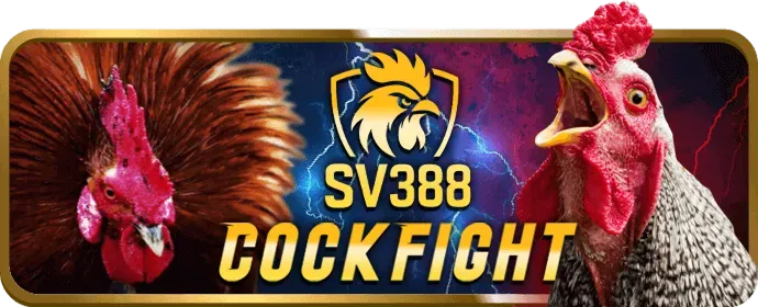 Ưu đãi đặc biệt